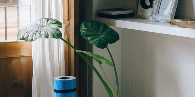 A rolled-up yoga mat next to a window with soft light.